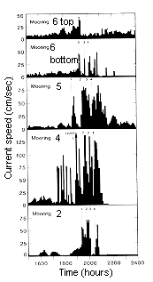 Index Map