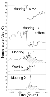 Index Map